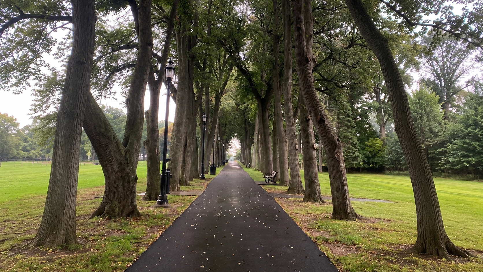 I Walked 10,000 Steps Every Day for 31 Days: Here’s What Happened